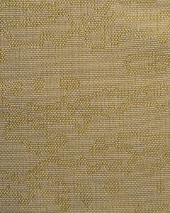 Even- Marigold